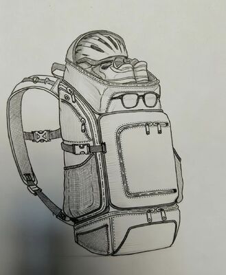 अनुकूलित रंगों के आउटडोर स्पोर्ट्स बैग के साथ सांस लेने योग्य कपड़े और 5 पैदल यात्रा और शिविर के लिए विशाल डिब्बे